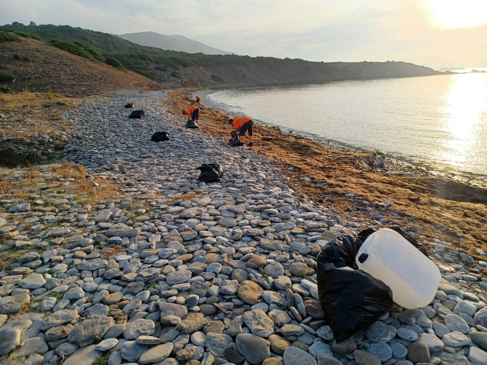 Limpieza de residuos en Cala Arenas, en Algeciras.