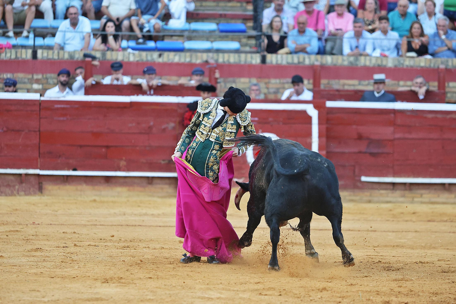 Toros La Merced 2024 Novillada con picadores(