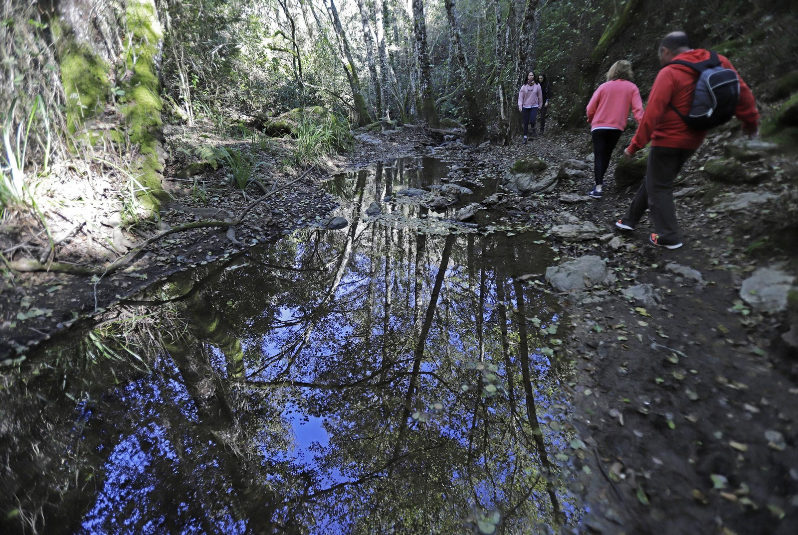 Ruta de Senderismo Charco Malo