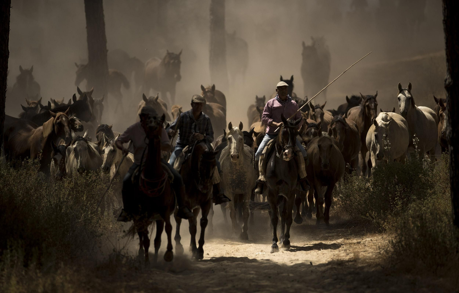 La Saca de las Yeguas, en imágenes