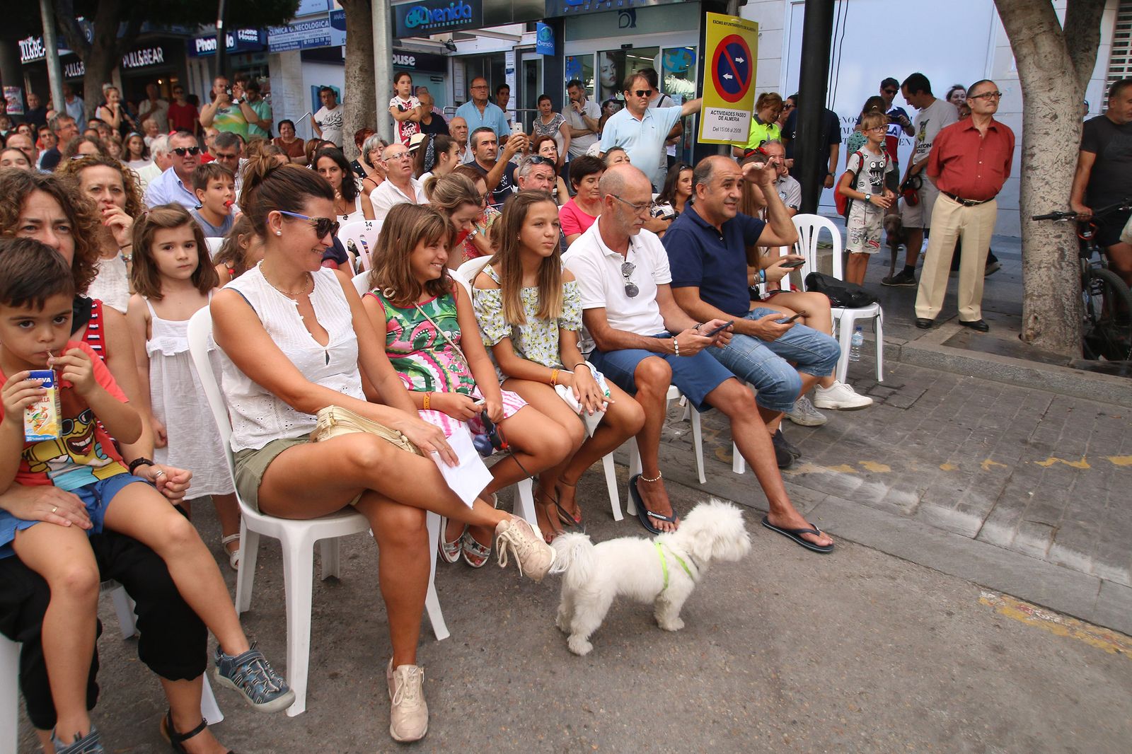 Fotogalería del concurso canino. Feria de Almería 2019
