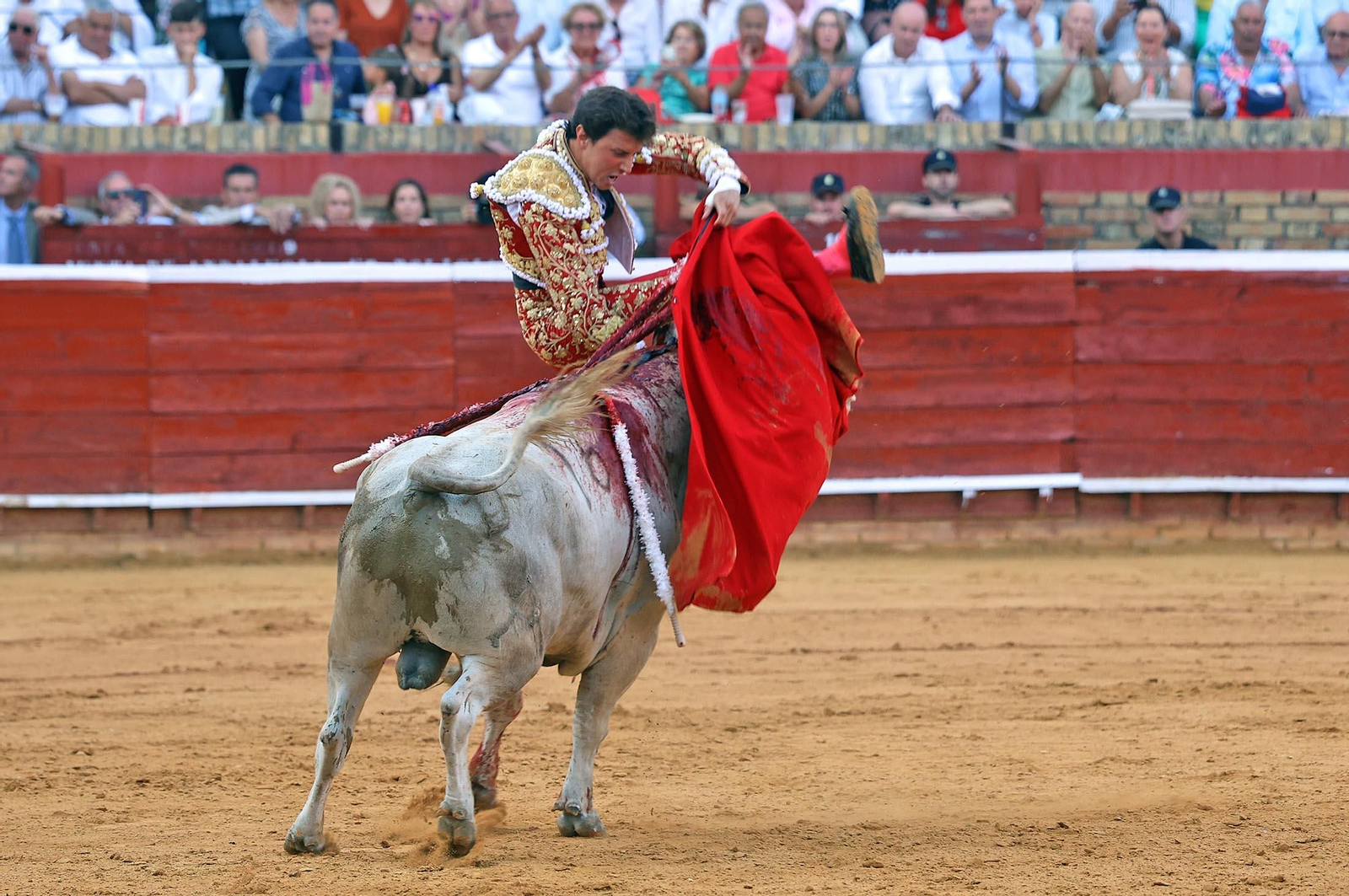 Toros La Merced: Imágenes de la corrida de David de Miranda, Roca Rey y Manzanare