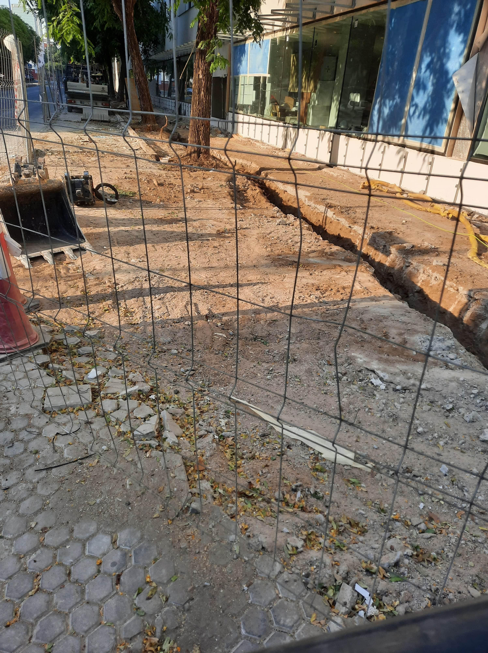 16 de julio de 2022. Antes de la tala. Zanja junto a los árboles en Ramón Carande.