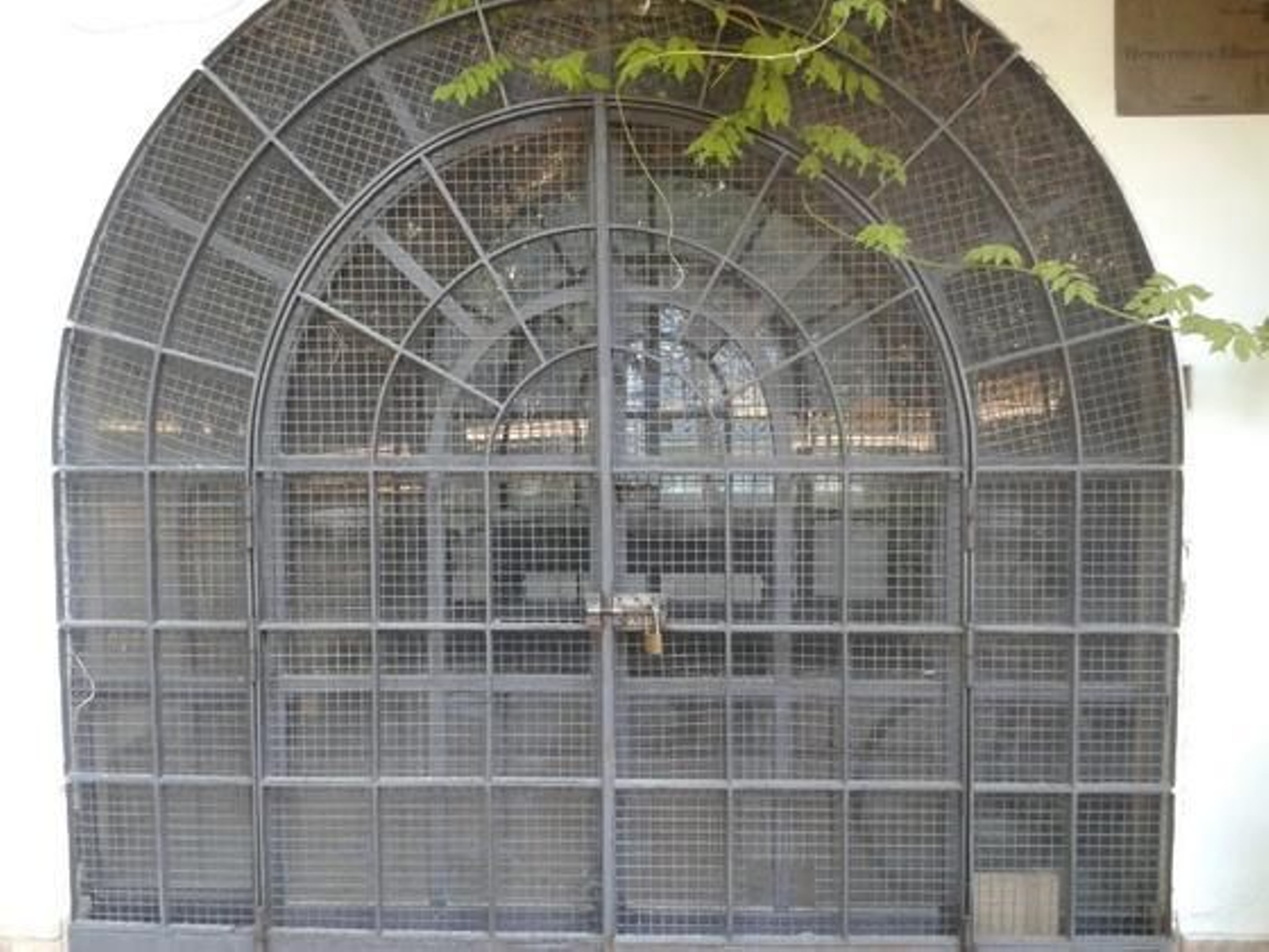 Foto: PSOE de Sevilla