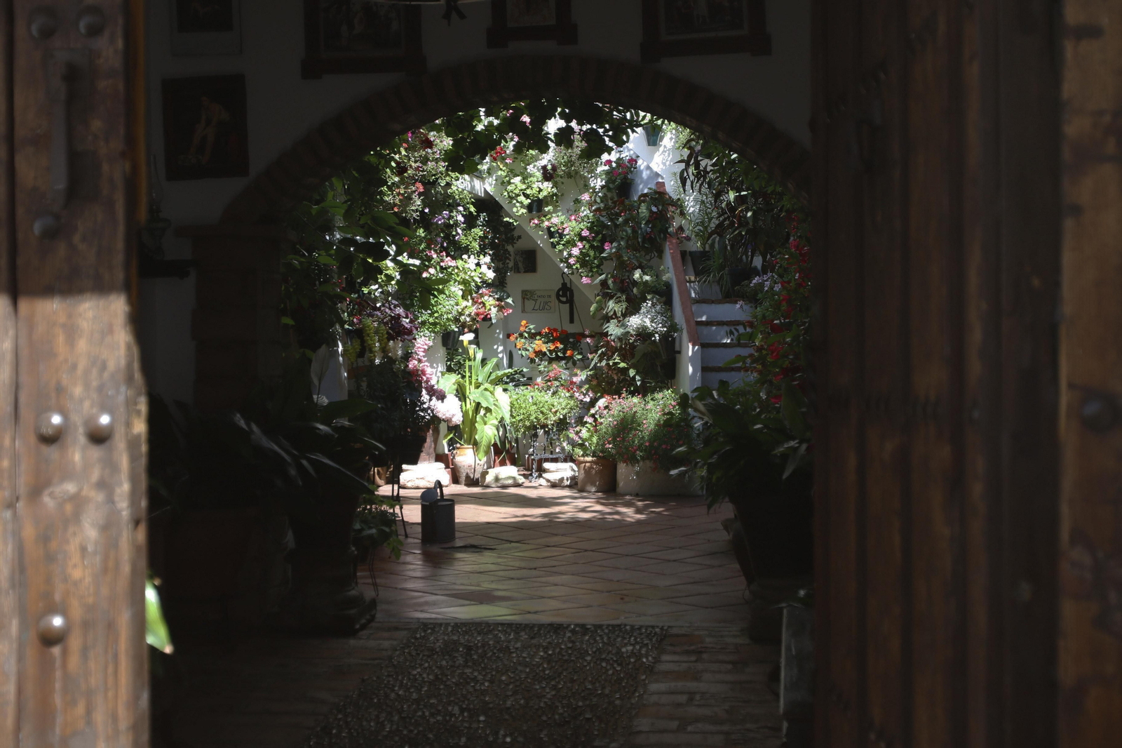 Las fotos de los Patios de Córdoba en este atípico mes de mayo