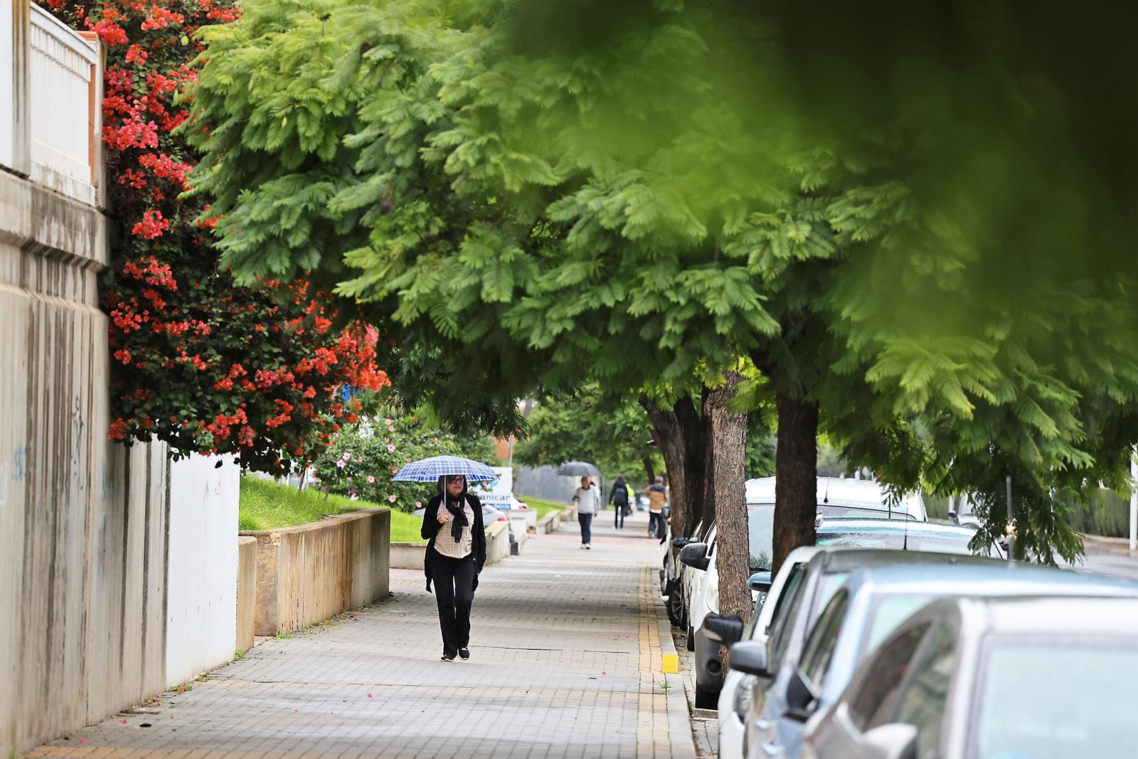 Las imágenes más destacadas del martes 29 de octubre en Huelva