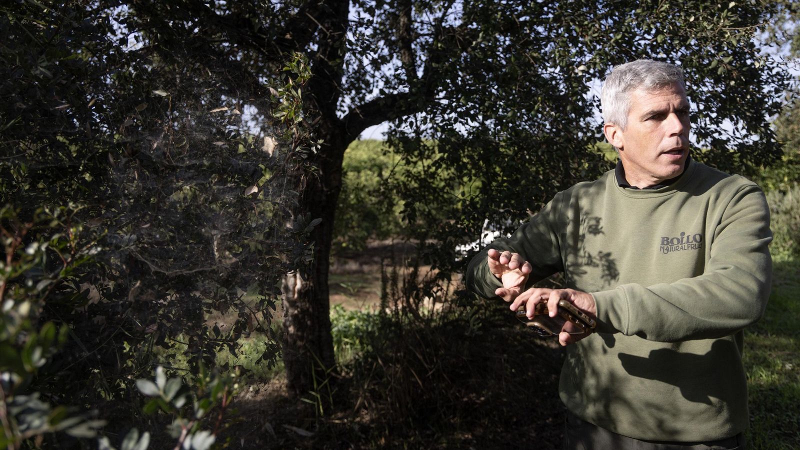 Jesús Martínez, responsable del proyecto Proof