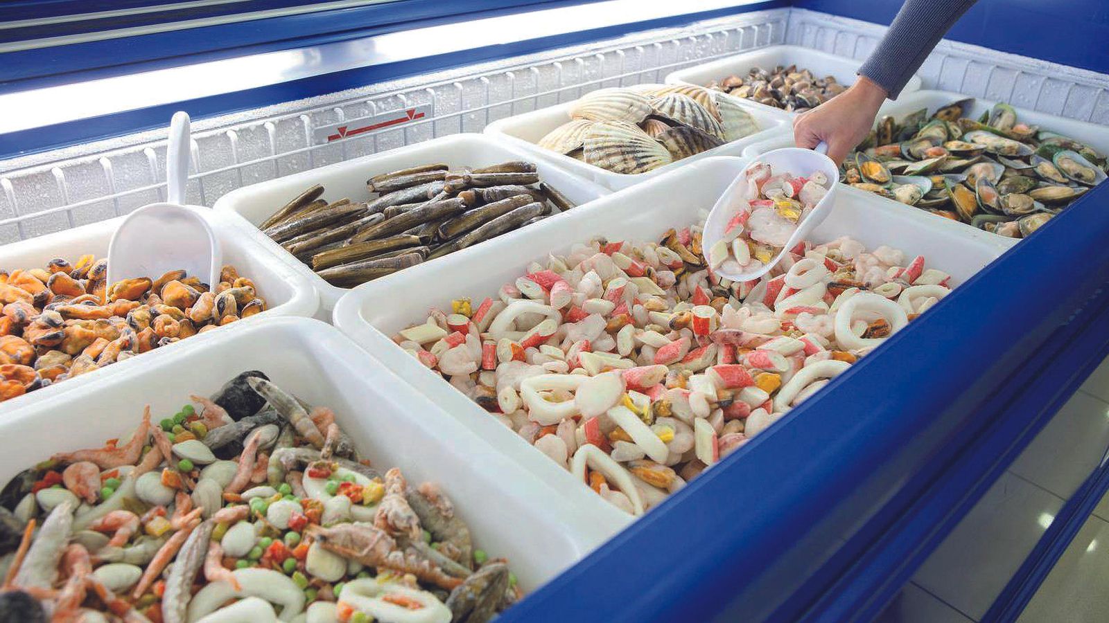 Gran variedad de alimentos congelados para esta Navidad