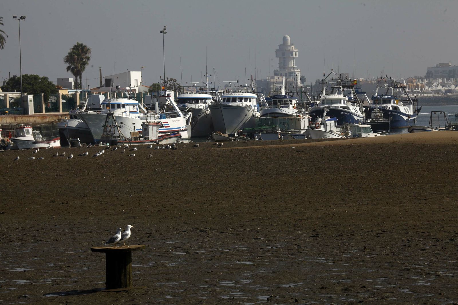 Imágenes de la flota de arrastre de Huelva en parada biológica