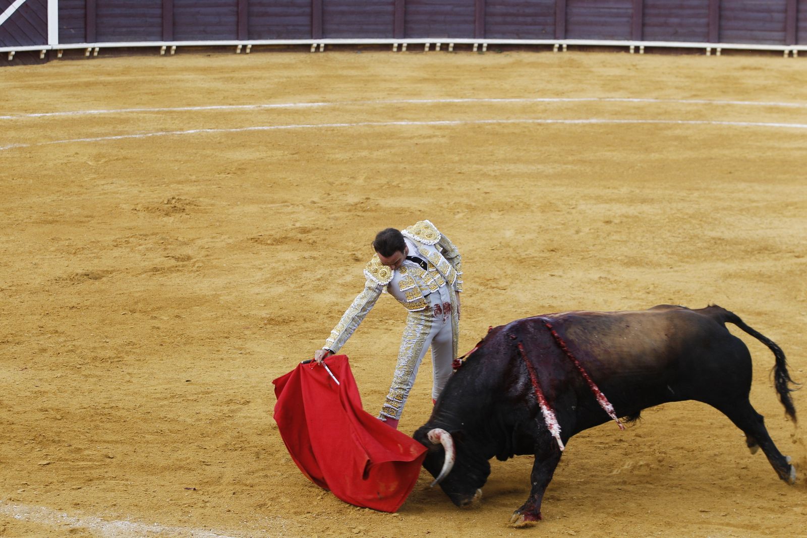 Fotogalería corrida de toros. Fiestas de Vera