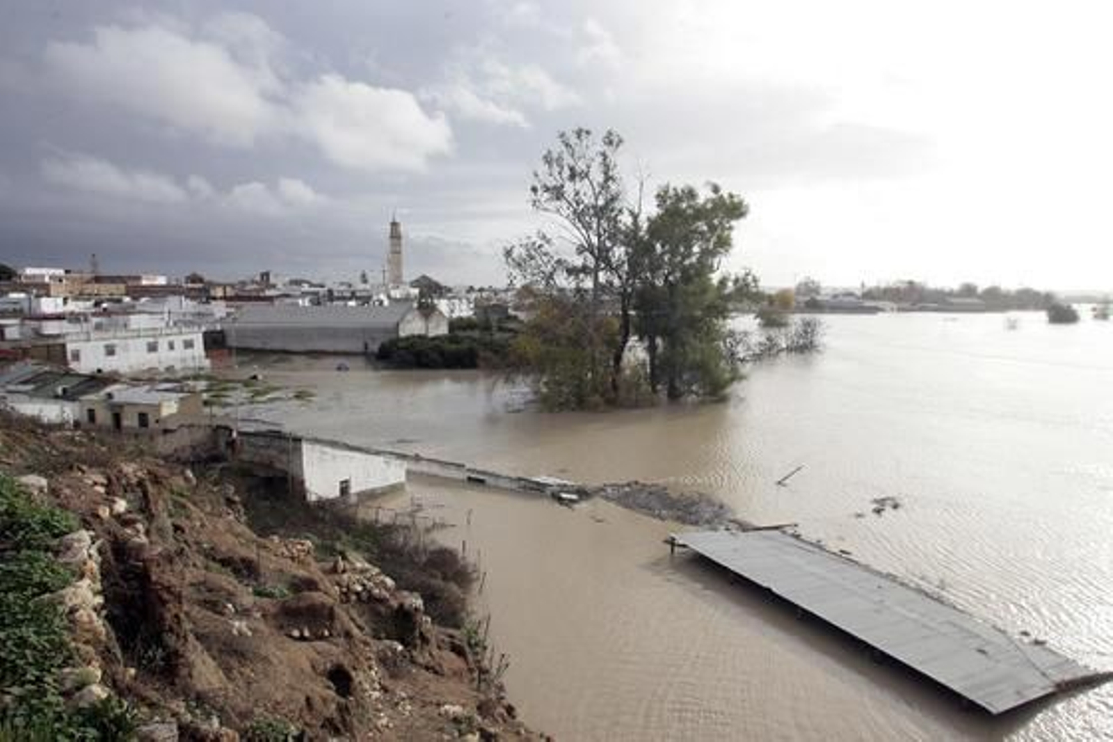 El Río Guadalquivir se desborda a su paso por Lora del Río./ J.C Muñoz