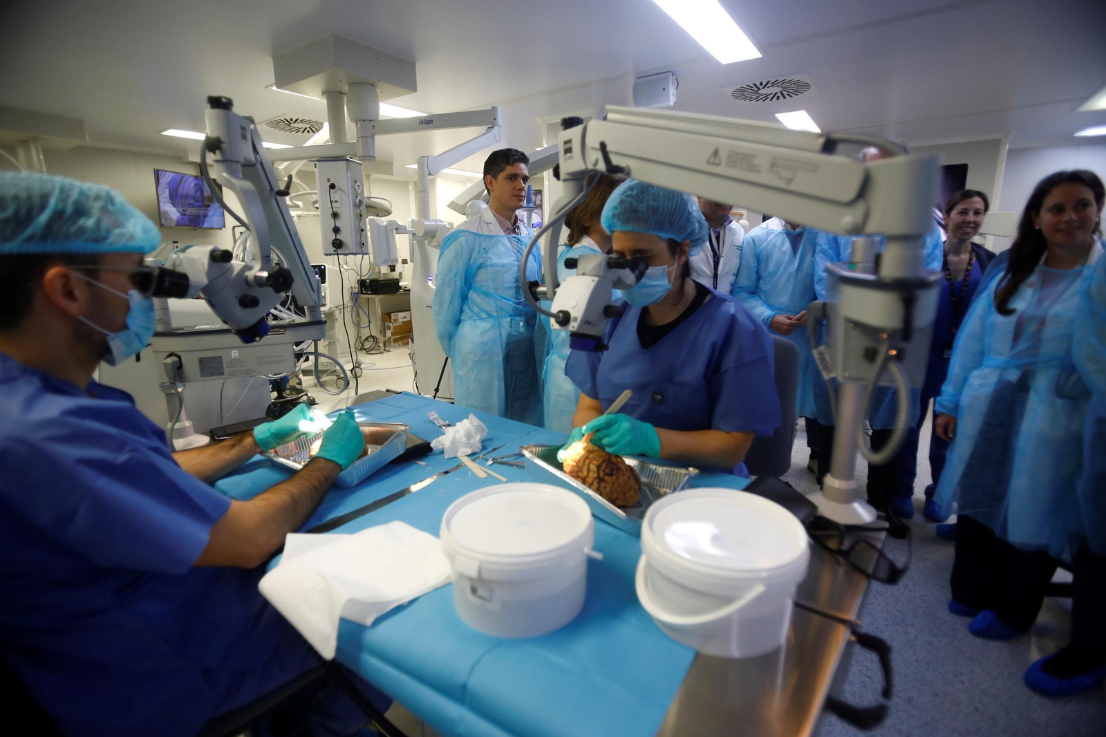 El curso en el que neurocirujanos del Hospital Reina Sofía estudian el cerebro, en imágenes