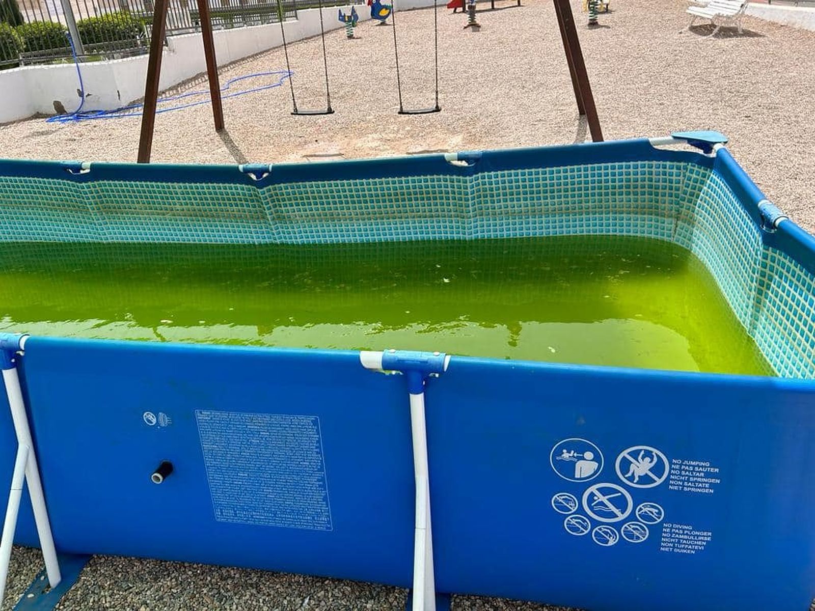 La piscina con el agua verde en una foto difundida por los socialistas.