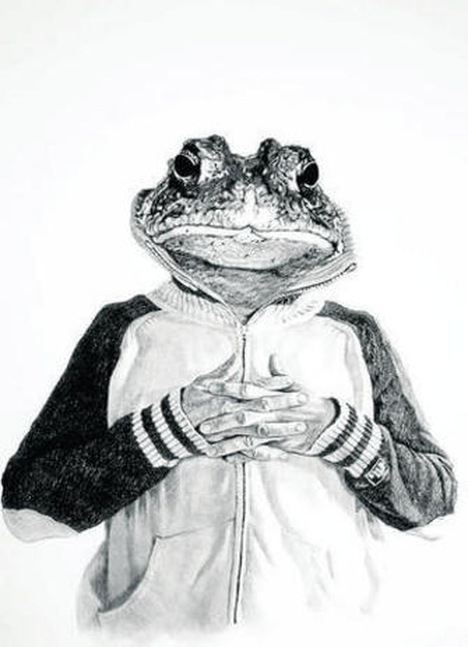 1. Dibujo de Aaron Lloyd titulado 'Algunas probabilidades de ser un príncipe'. 2. Walter Martin y Paloma Muñoz son los autores de 'El gran lago helado'. 3. De Kara Walker es la animación 'Teatro de sombras'.