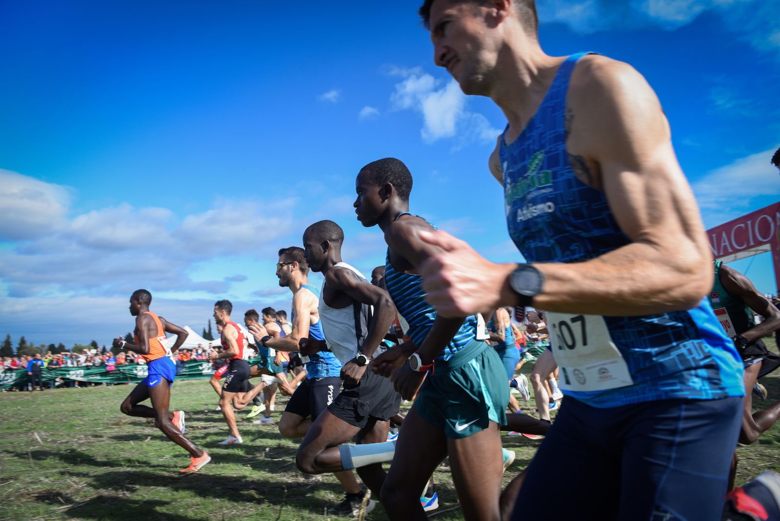 Las imágenes del Cross Internacional Itálica 2022