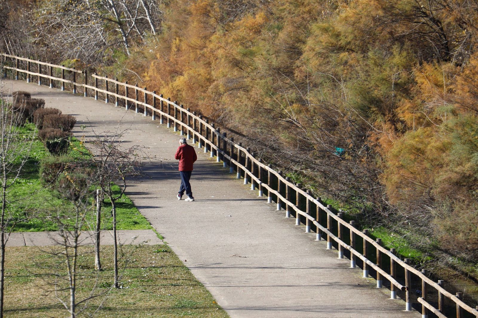El frío polar llega a Córdoba, en imágenes