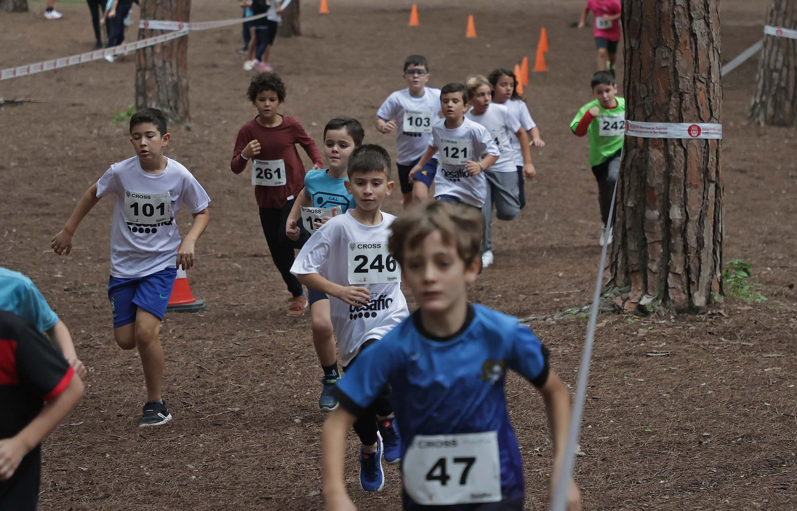 Búscate en el V Cross Pinar del Rey en San Roque