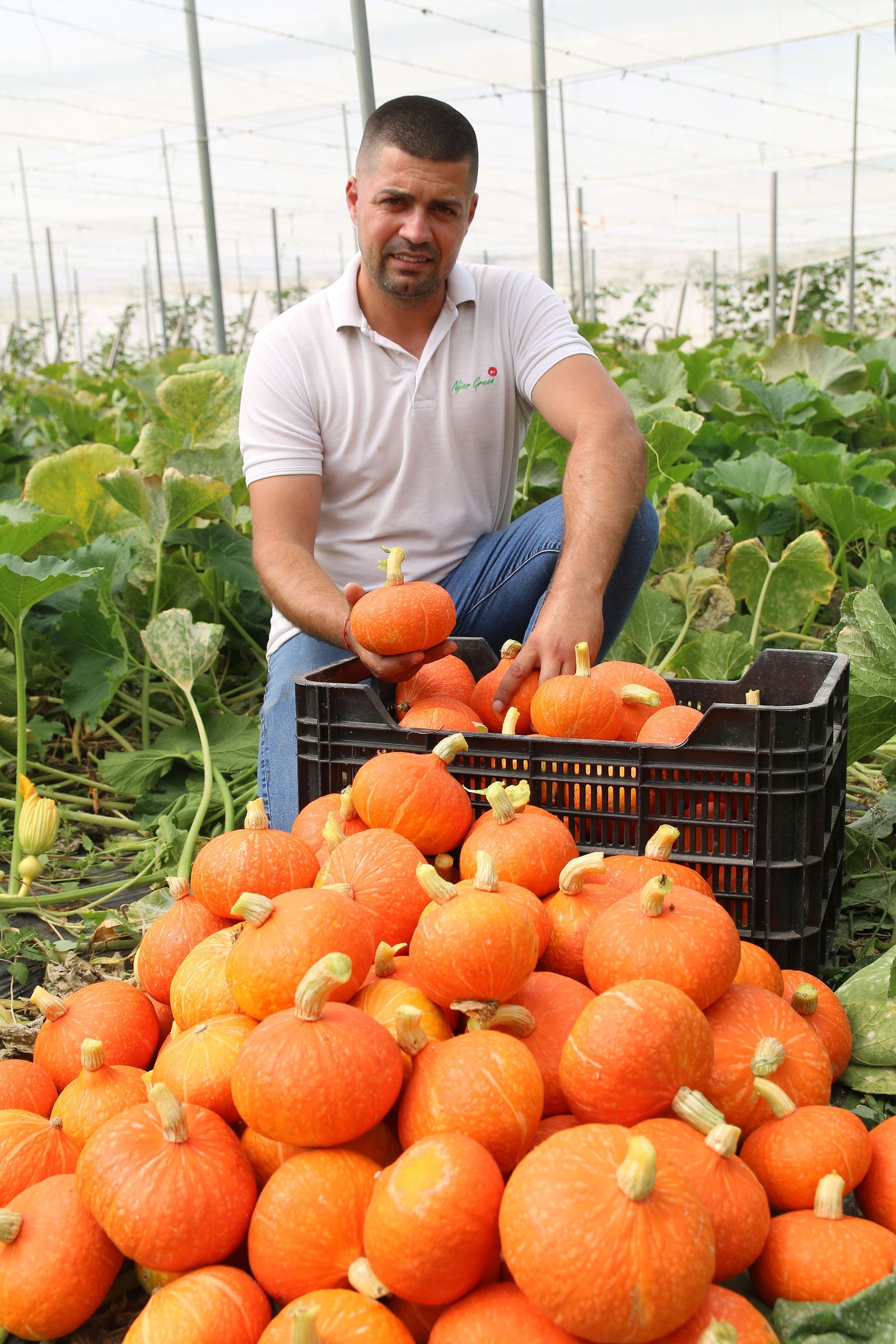 Agricultor mostrando su producción de calabazas