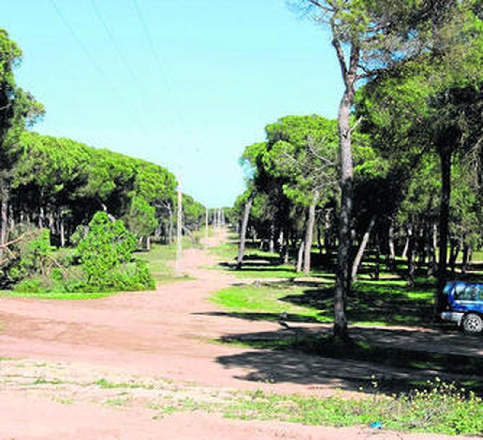 Lugar donde la jauría devoró a un potro.