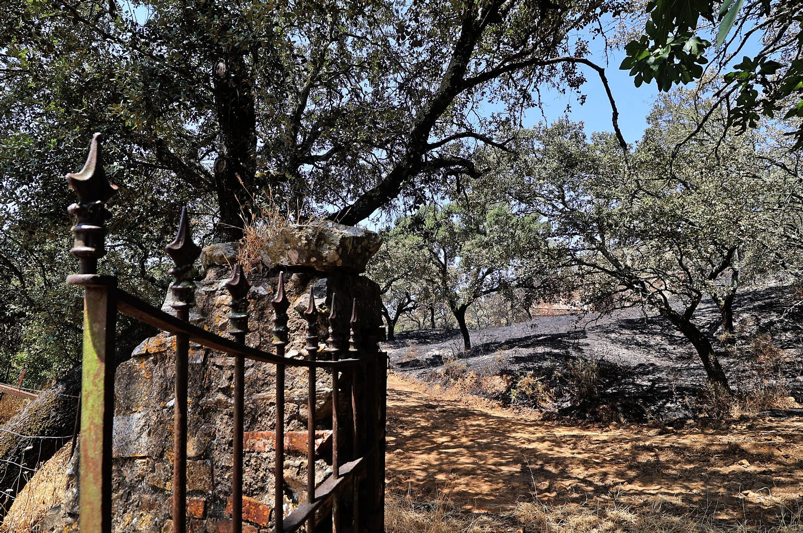 Imágenes de los vecinos de Los Romeros ya en sus casas tras el incendio