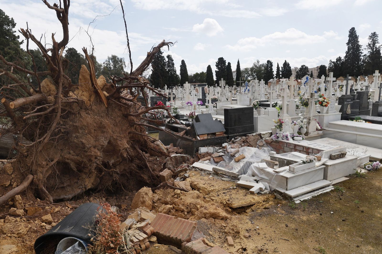 Destrozos provocados en las lápidas del cementerio por la caída de árboles
