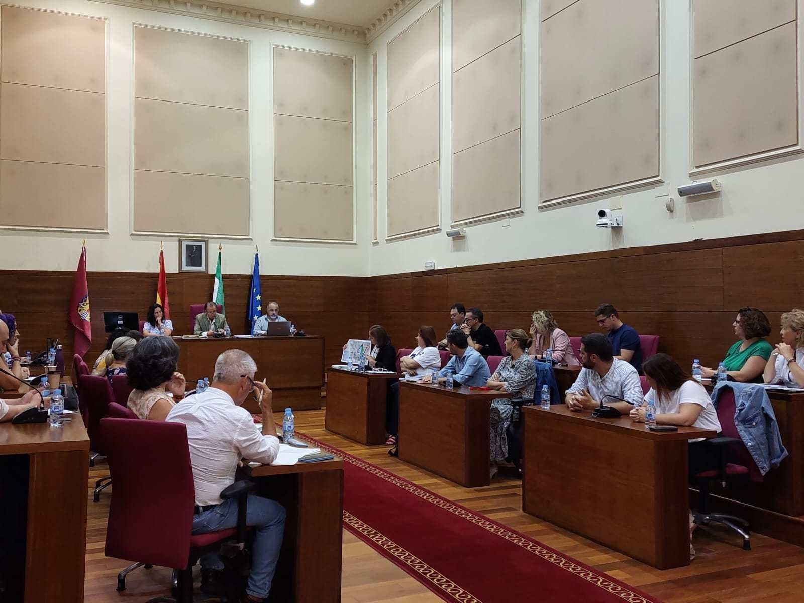 El Pleno aprobó con el voto en contra de Ganemos sacar a subasta la última gran parcela hotelera del Novo.