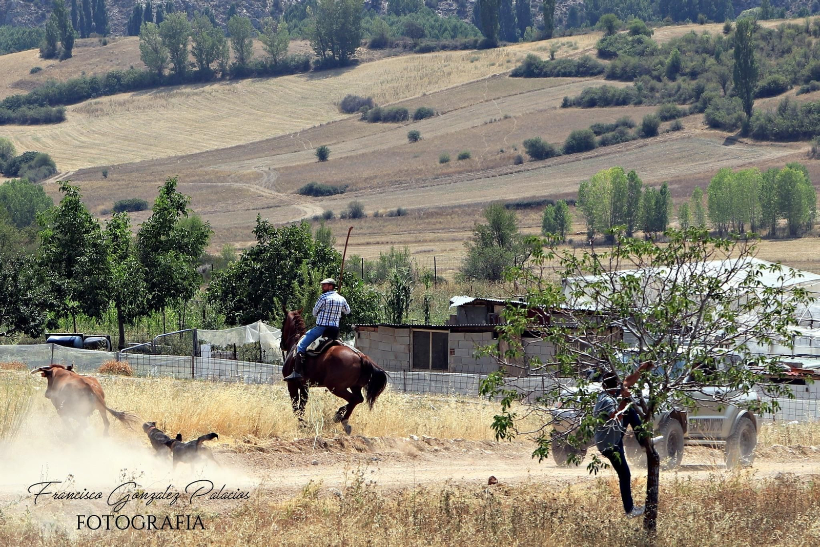 Saltos y fintas de vértigo en los encierros de Santiago de la Espada, en imágenes