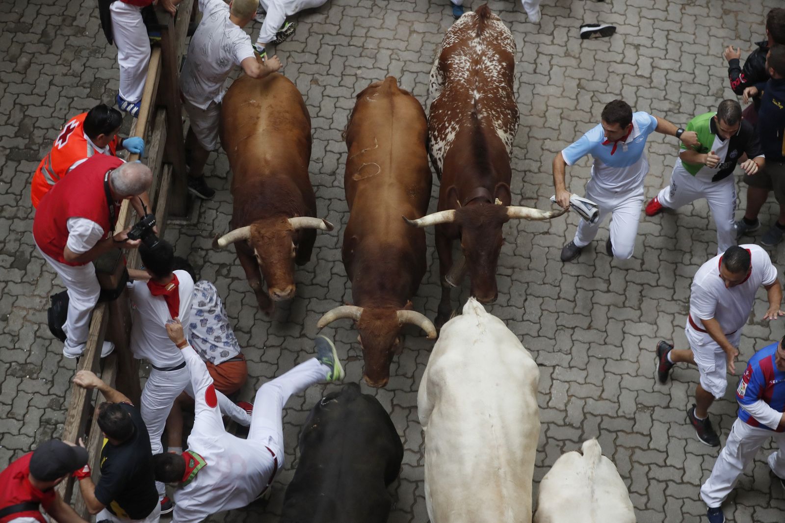 Las imágenes del encierro de los toros de Jandilla