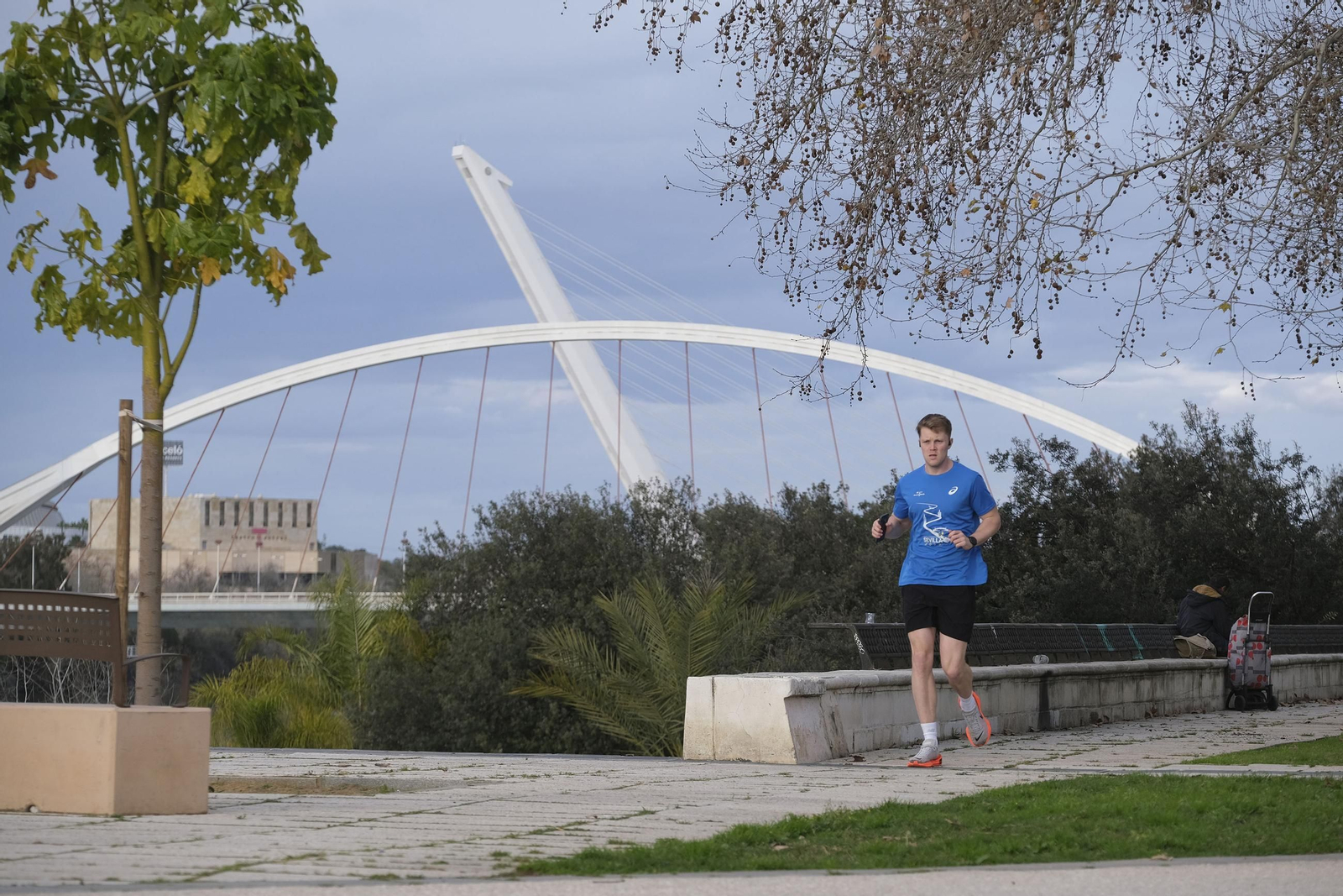 La víspera del maratón de Sevilla en fotos