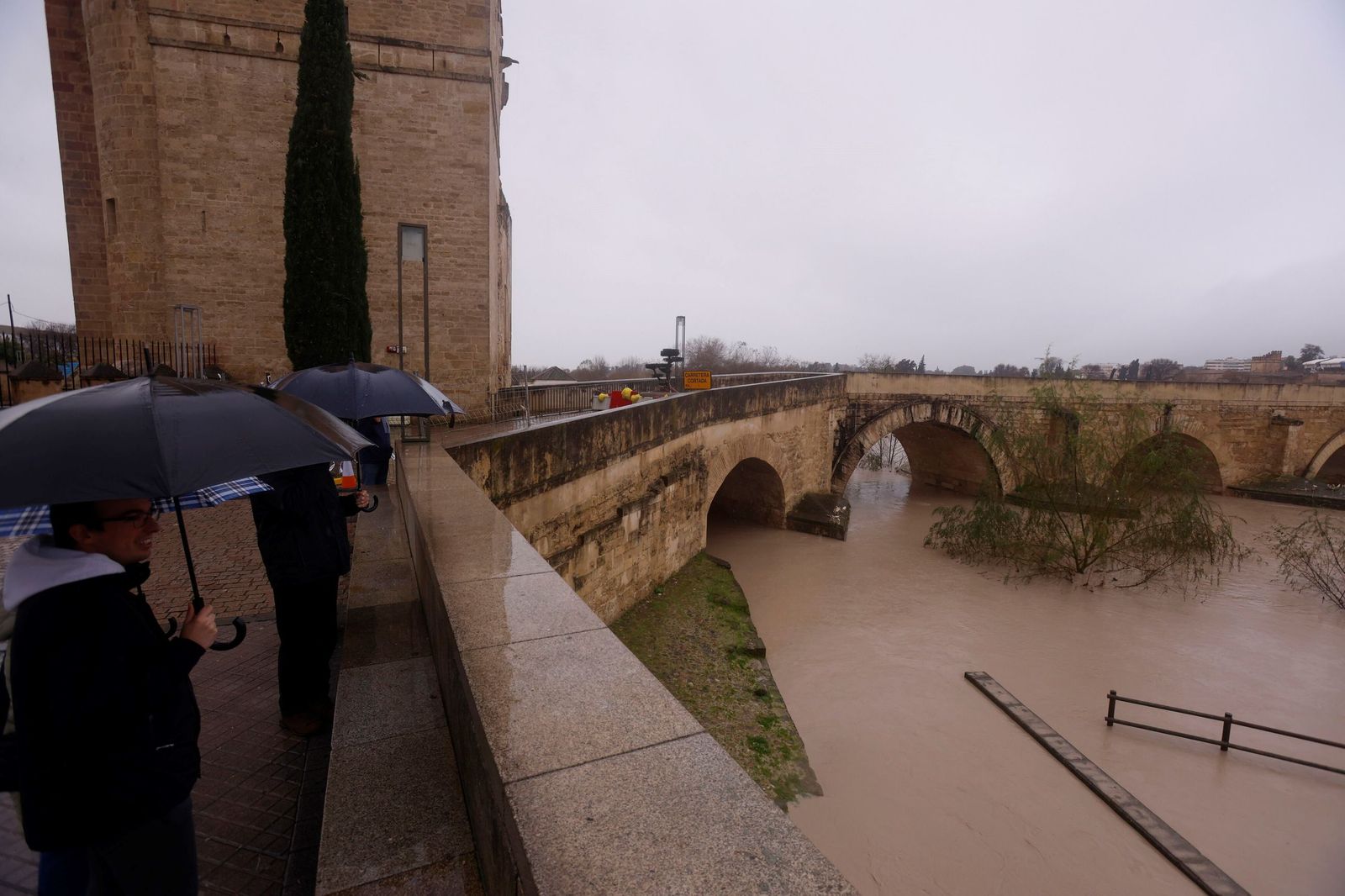 Así se muestra el río Guadalquivir a su paso por Córdoba a la espera de otra crecida