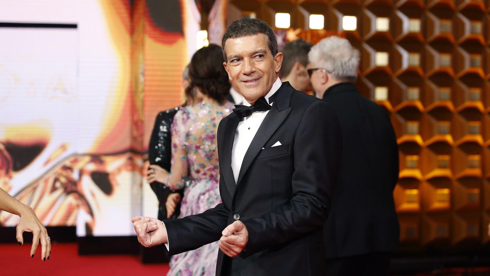 Antonio Banderas, a su llegada a la alfombra roja.