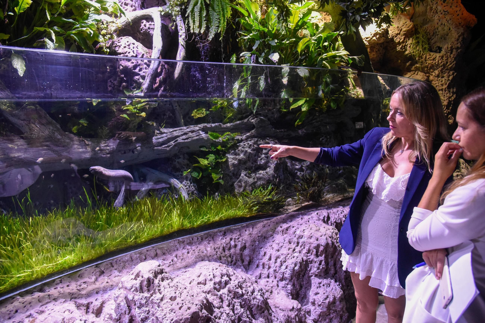 10 aniversario del Acuario de Sevilla