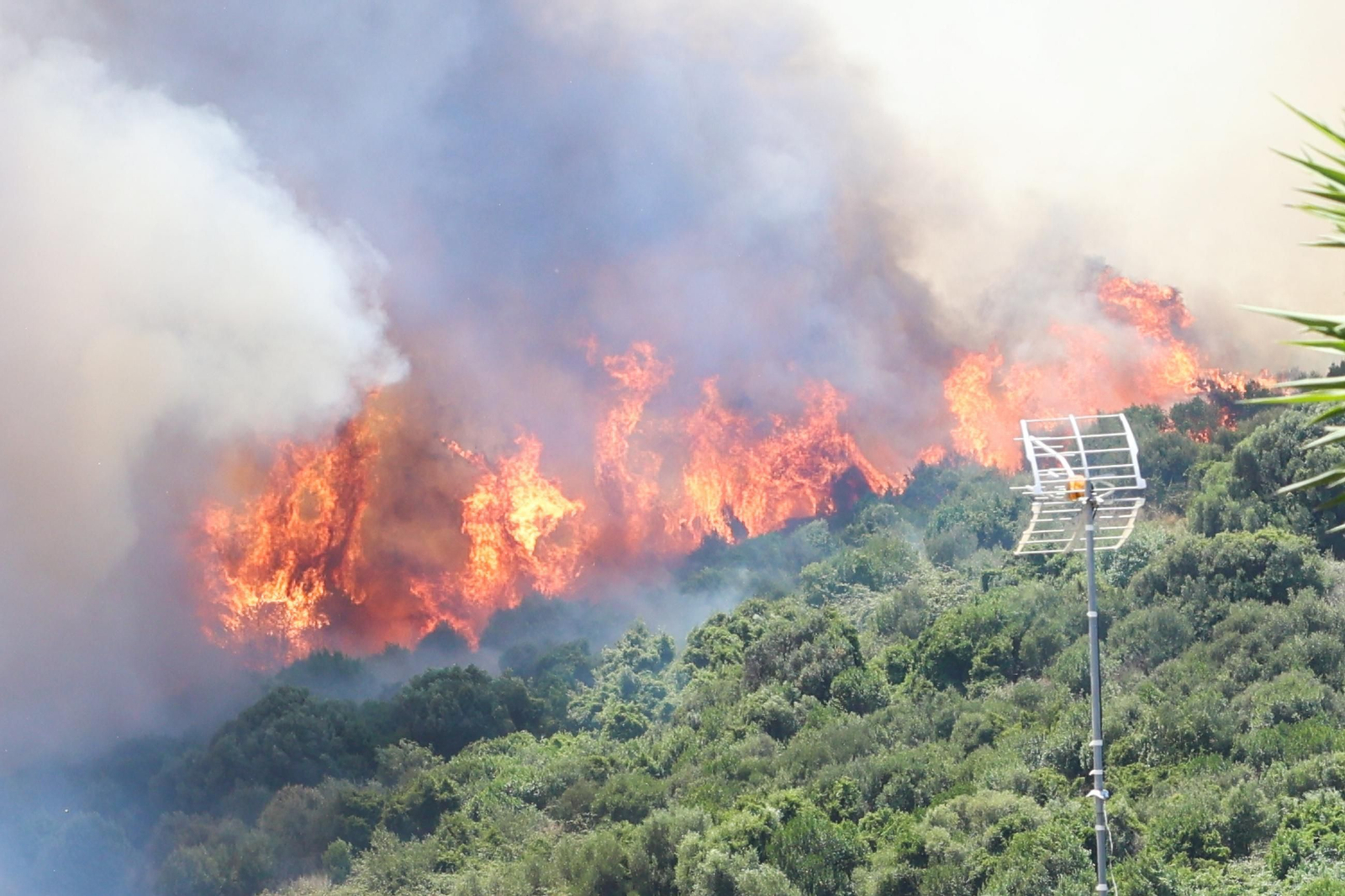 Las fotografías del incendio en el paraje de Botafuegos, en Algeciras