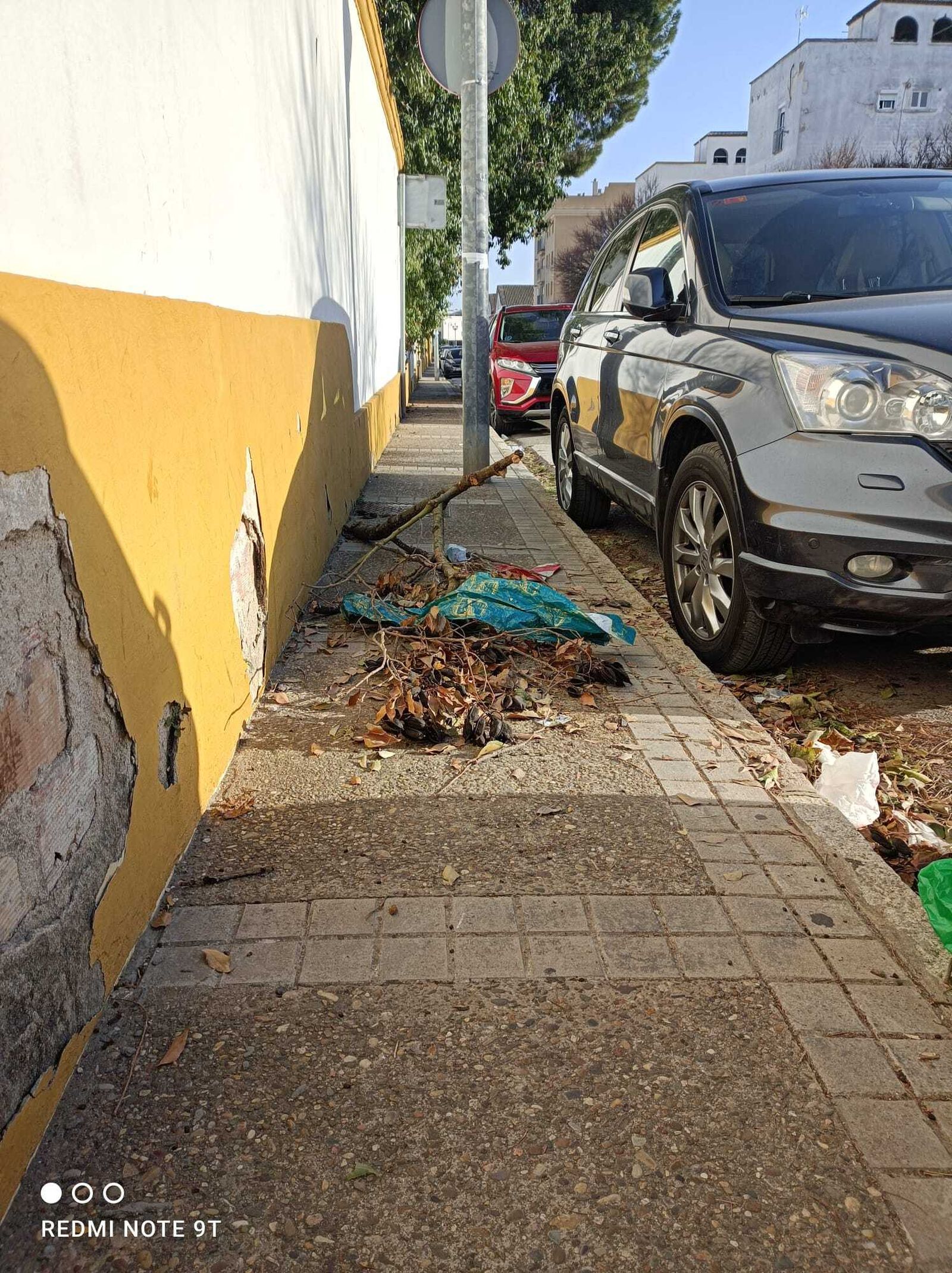 Imagen de suciedad acumulada en la calle Pizarro.