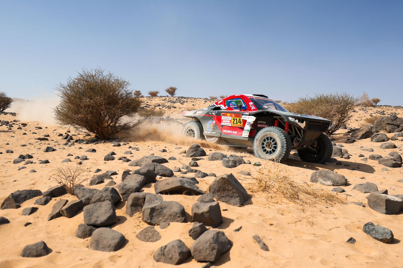 Las mejores fotos del Rally Dakar | undécima etapa