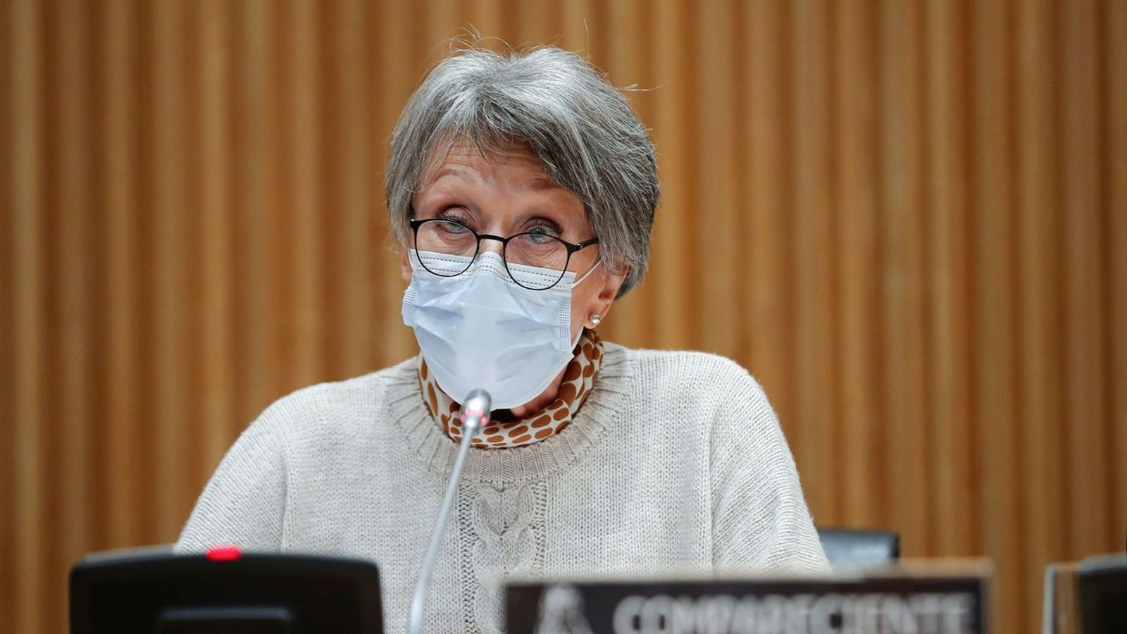 Rosa María Mateo en una de sus recientes comparecencias