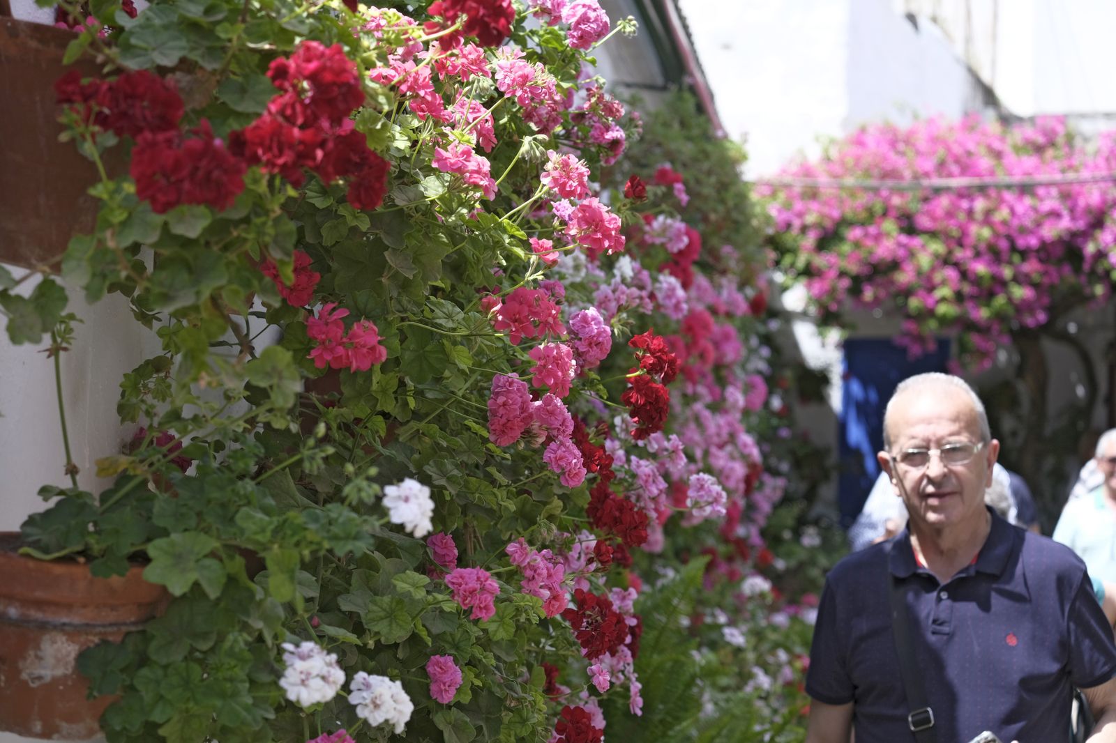 El último día del Festival de los Patios de Córdoba 2022, en imágenes
