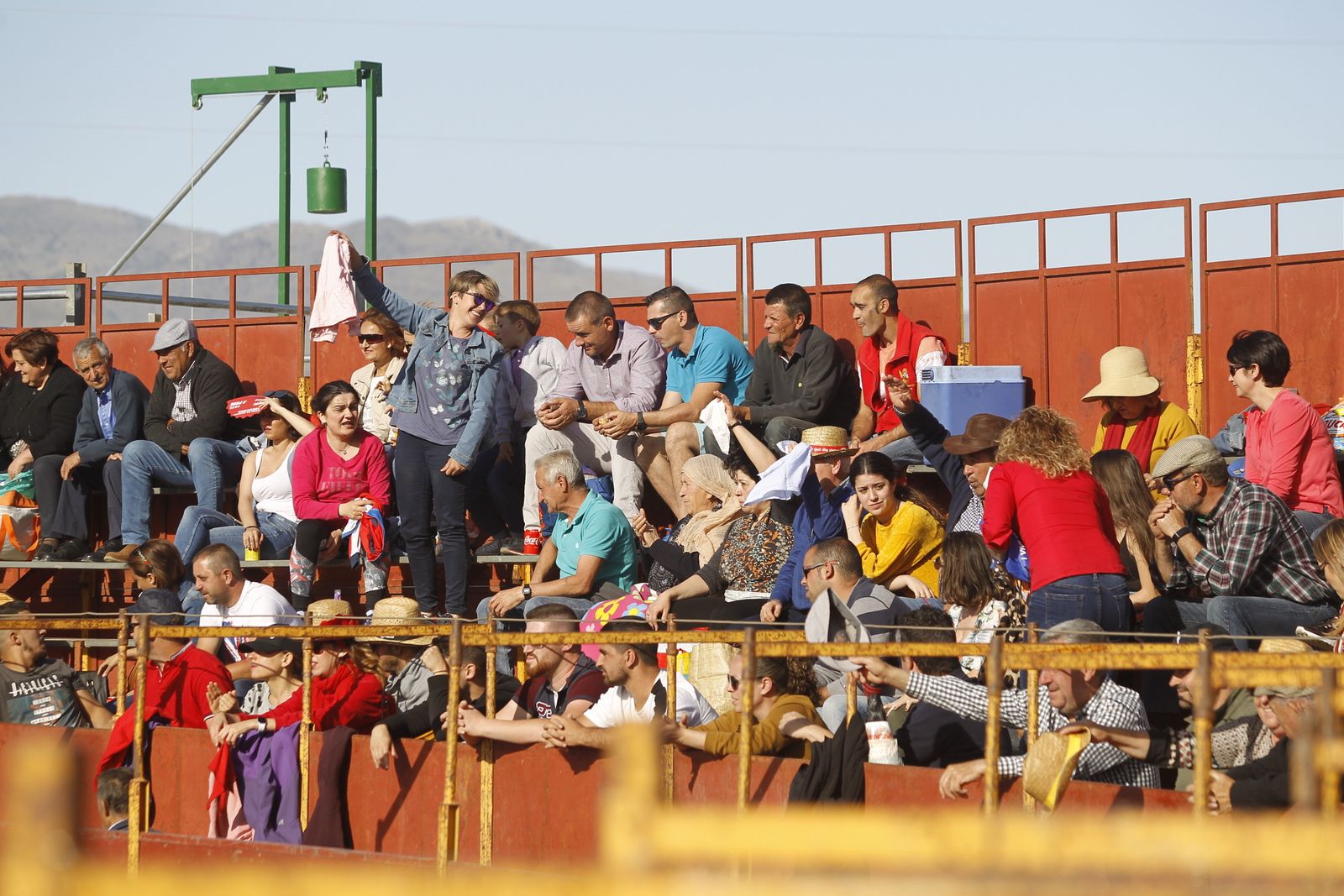 Fotogalería Festival Taurino Mixto. Fiestas de Abrucena.