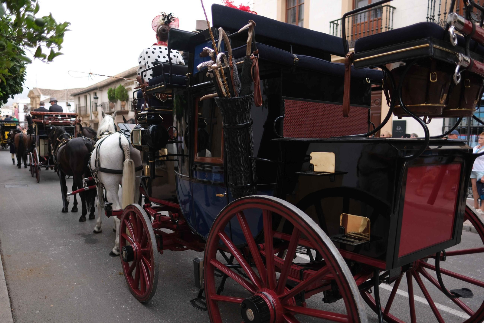 Concurso de Enganches de Ronda, en imágenes