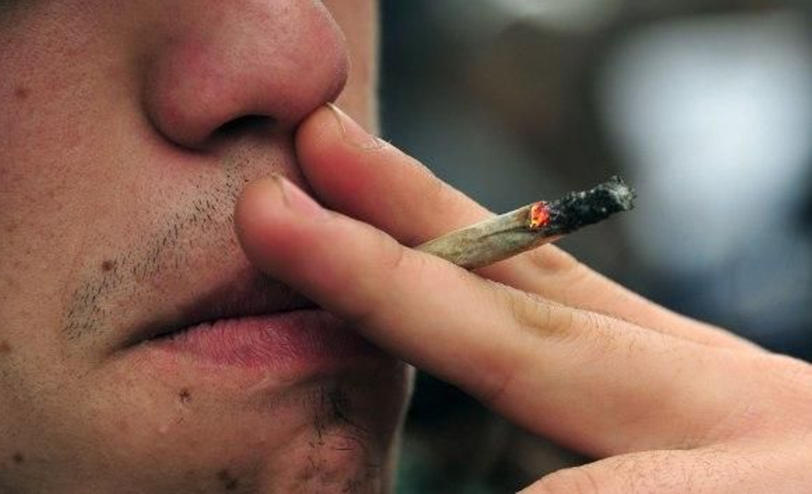 Los turistas también podrán acceder a los 'Coffee shop' de Amsterdam