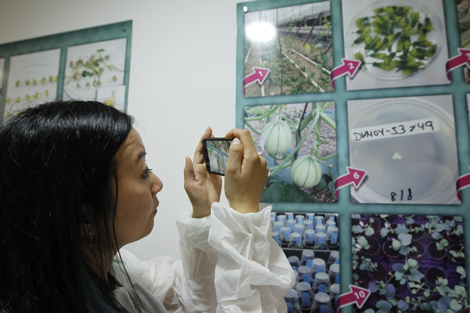 Fotogalería presentación resultados Bayer