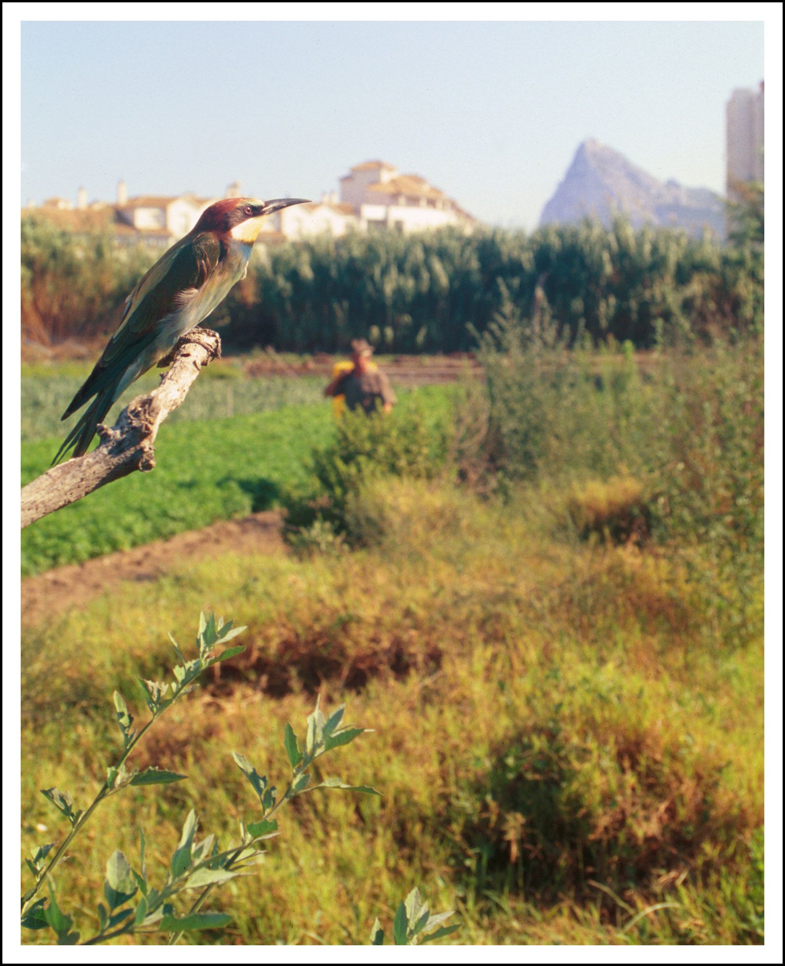 Panorámica parcial de la zona de estudio.