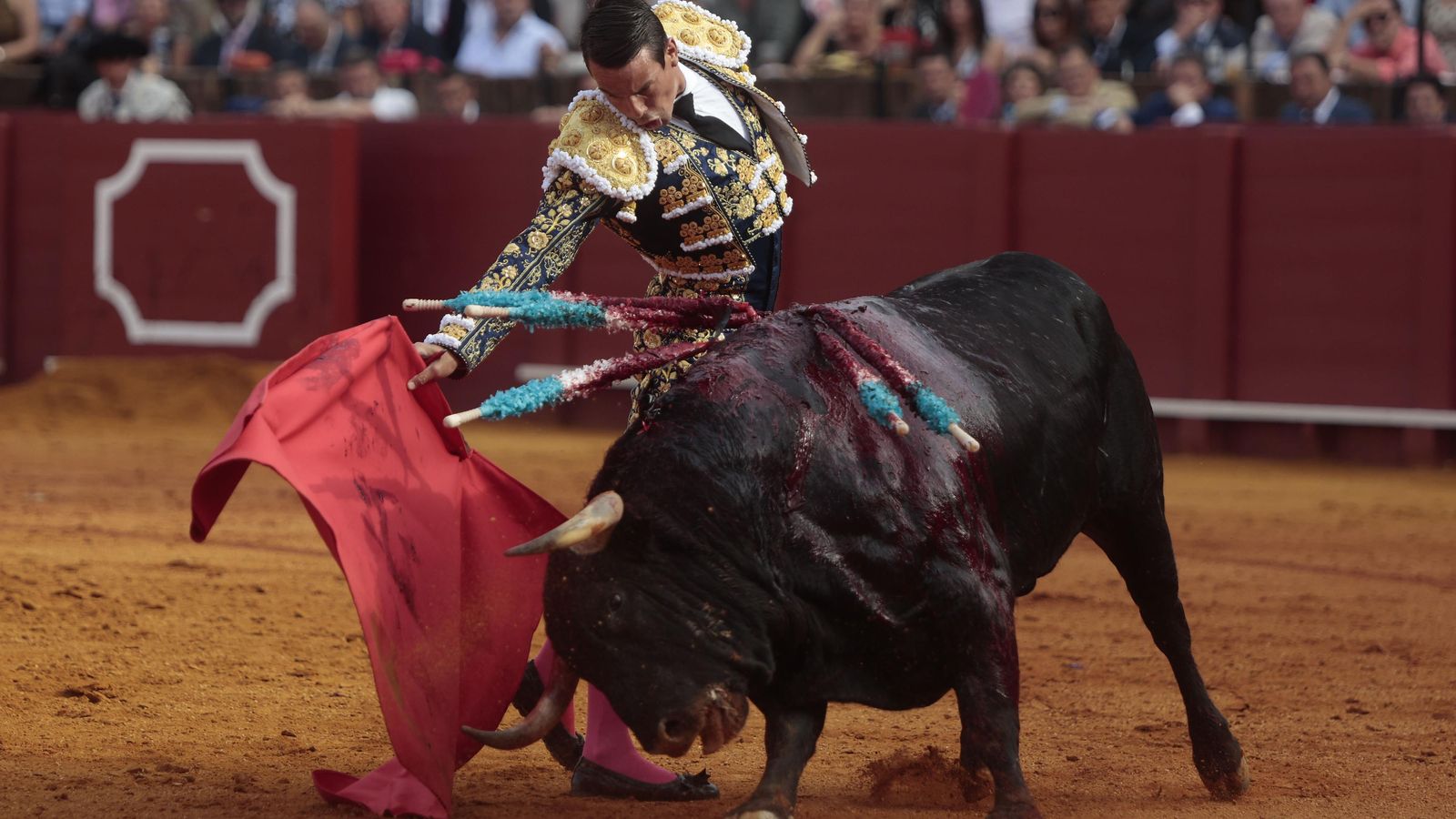Manzanares en redondo con la figura forzada en la que no fue su mejor tarde sevillana.