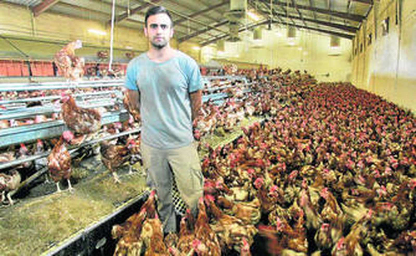 Huevos Bretones conquista el mercado