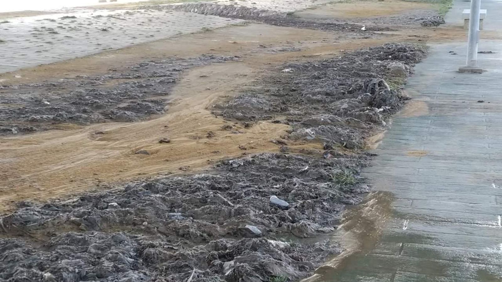 Restos de Toallitas, compresas y aguas residuales de Gibraltar en Algeciras.