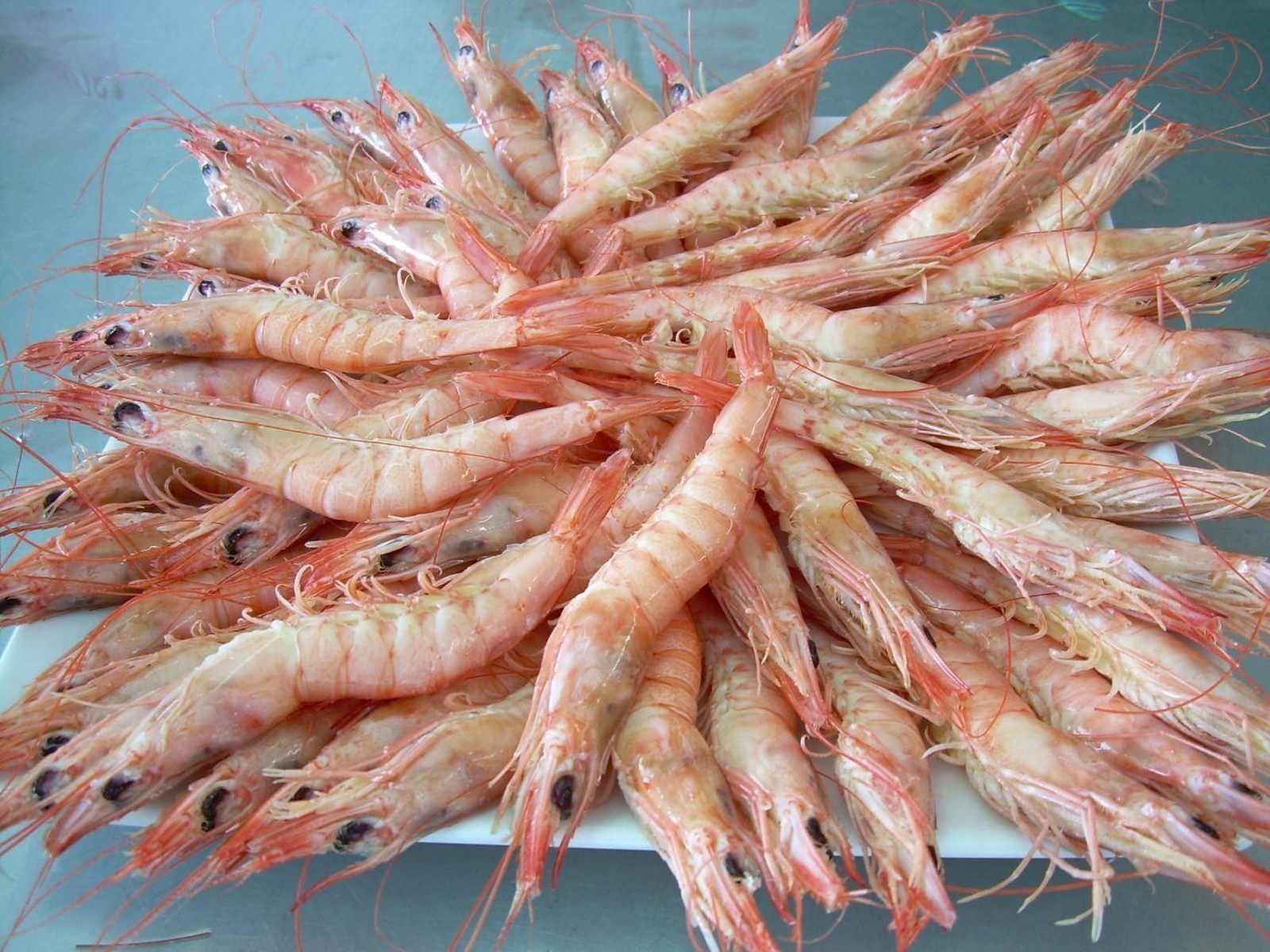 Platos típicos de Huelva que tienes que probar para ser un auténtico onubense