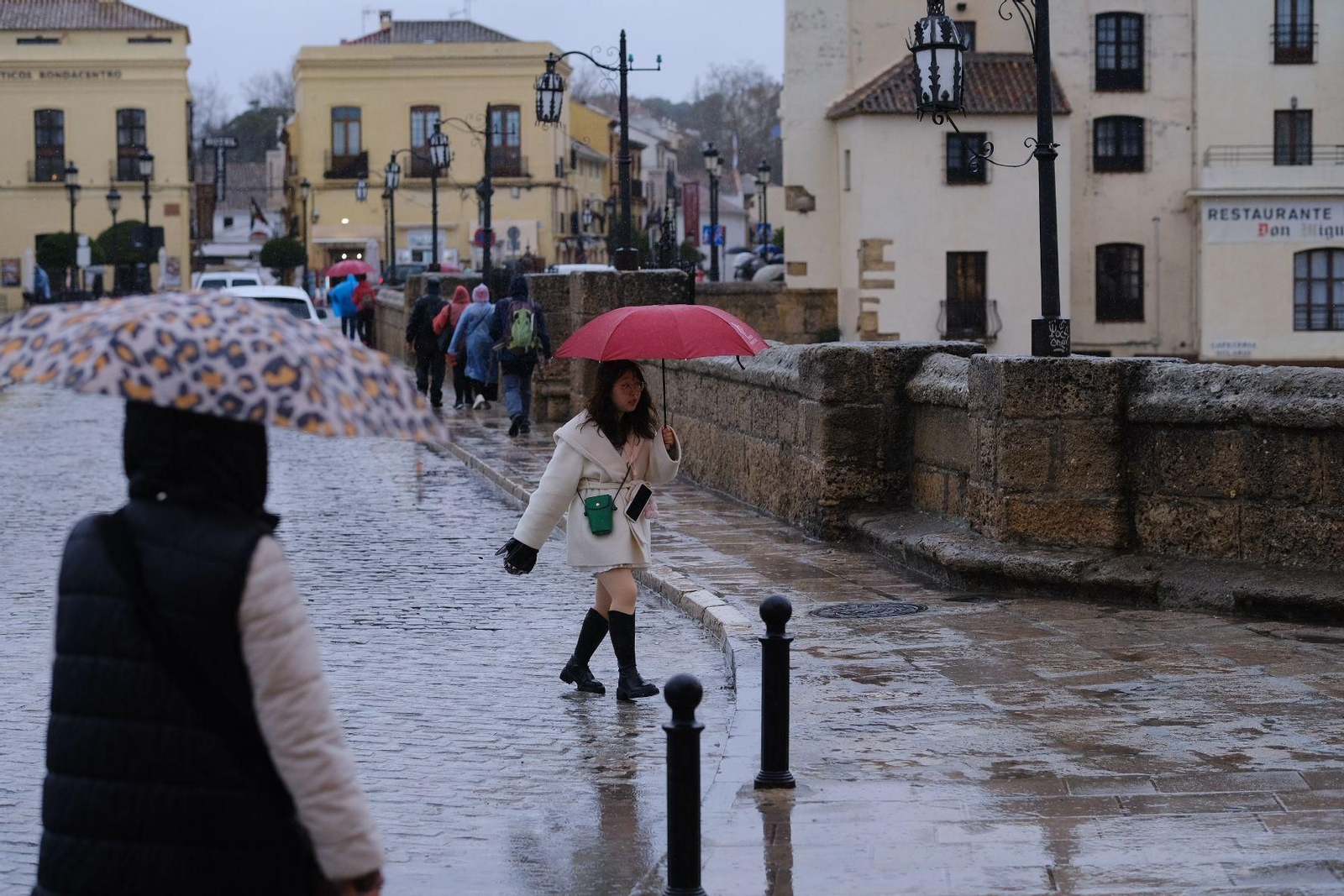 Las imágenes de la lluvia de la borrasca Karlotta en Ronda Las imágenes de la lluvia de la borrasca Karlotta en Ronda