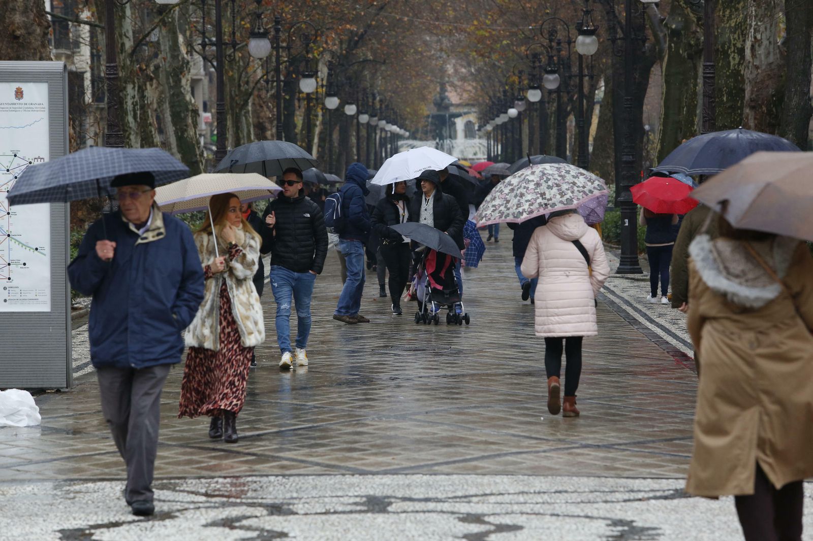 Llega la borrasca Gloria: la lluvia regresa a Granada