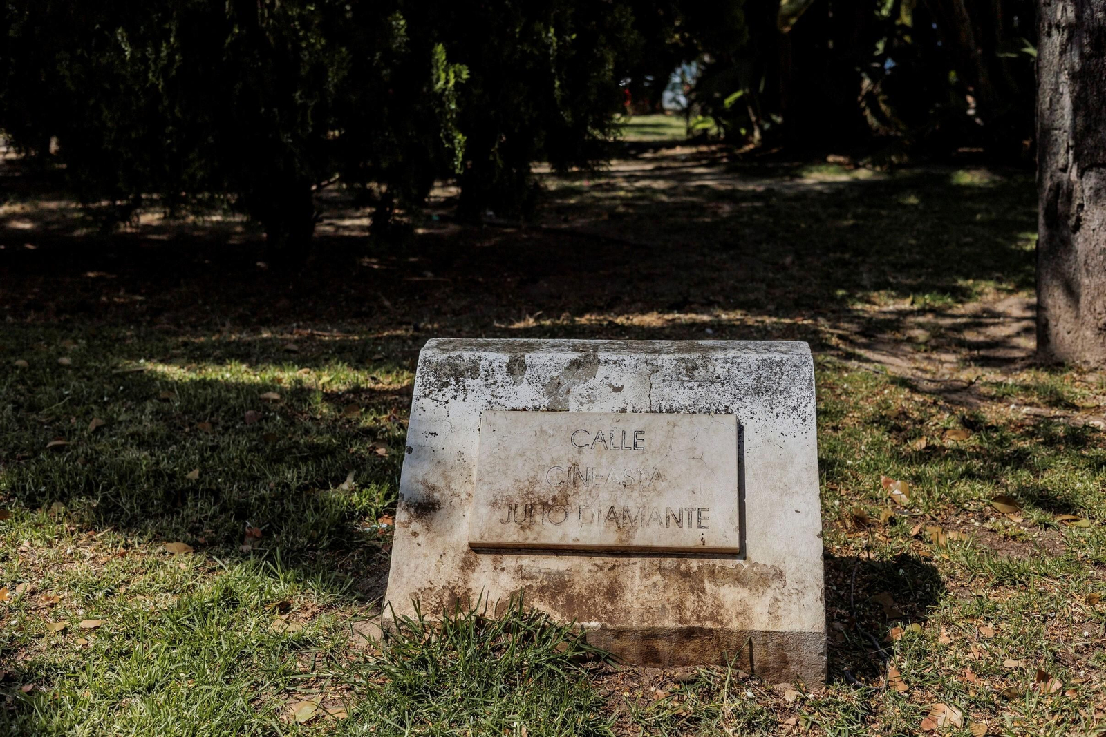 Las zonas verdes menos verdes de la ciudad de Cádiz