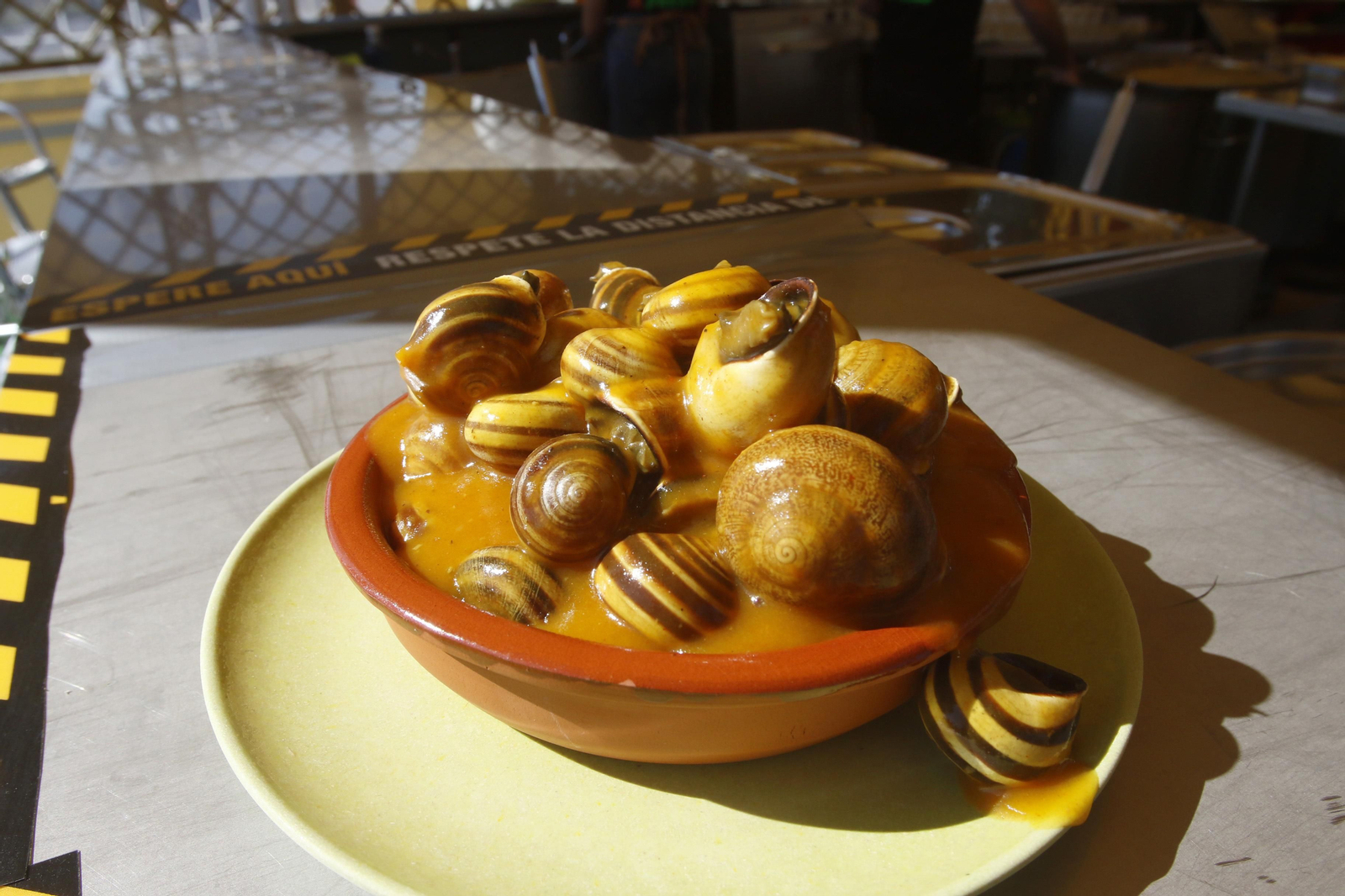 El comienzo de la temporada de caracoles 2022, en imágenes